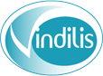 logo LGO Vindilis